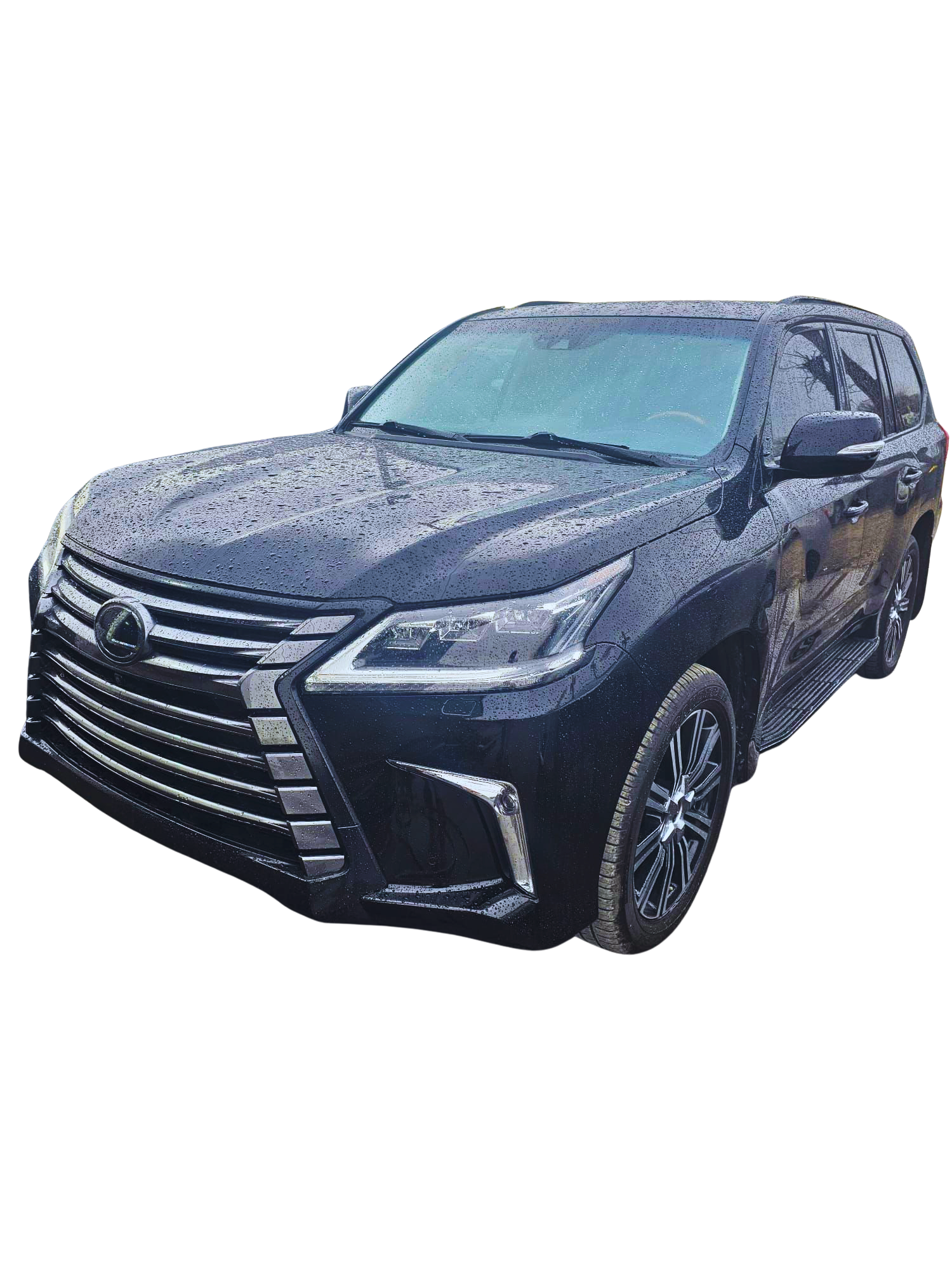 2019 Lexus LX 570